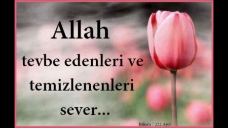 Allah(c.c) Tevbe Edenleri Sever