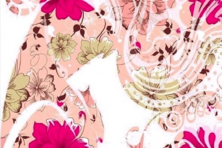 Bayanları Riyazu’s Salihin Okumalarına Davet Ediyoruz