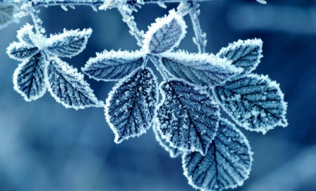 Senden Özür Dileyen Mümin Kardeşini Affetmiyor musun !!!