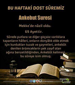 Bu Haftaki Dost Sûremiz