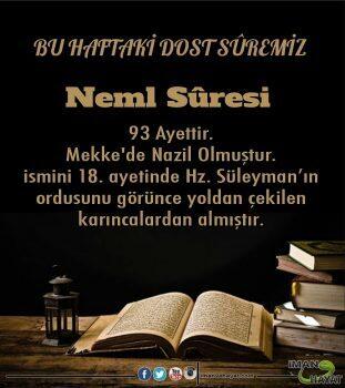 Bu Haftaki Dost Sûremiz