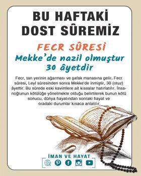 Haftalık Dost Suremiz